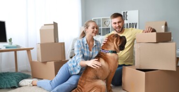 Moving with Pets: Ensuring a Smooth Transition for Your Furry Friends