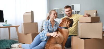 Moving with Pets: Ensuring a Smooth Transition for Your Furry Friends