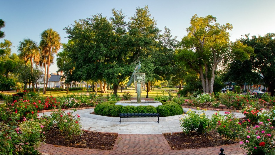 Winter Park outdoors.