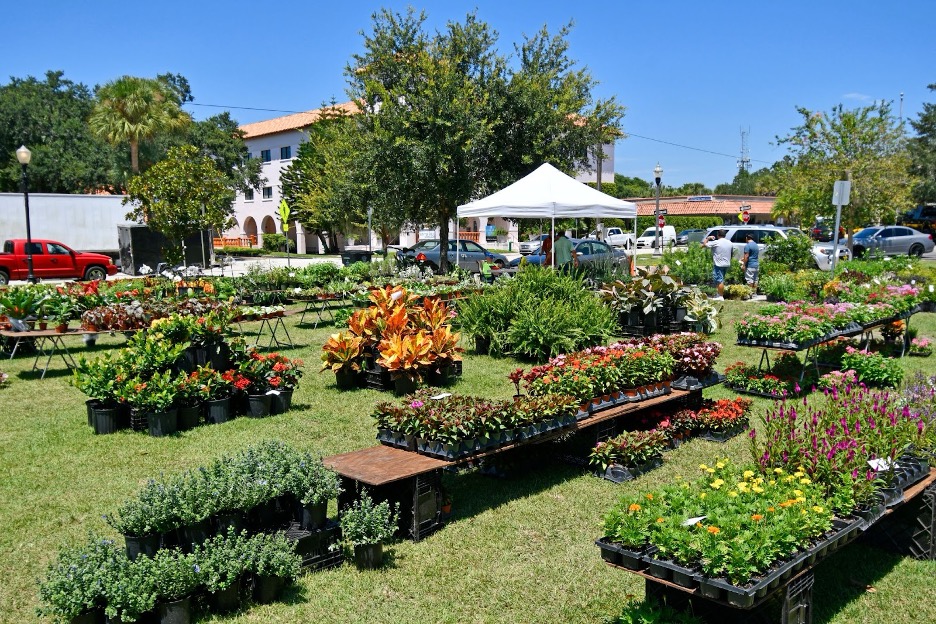 A garden in Orange County at a market.