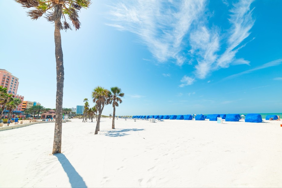 A beach in Tampa, Florida.