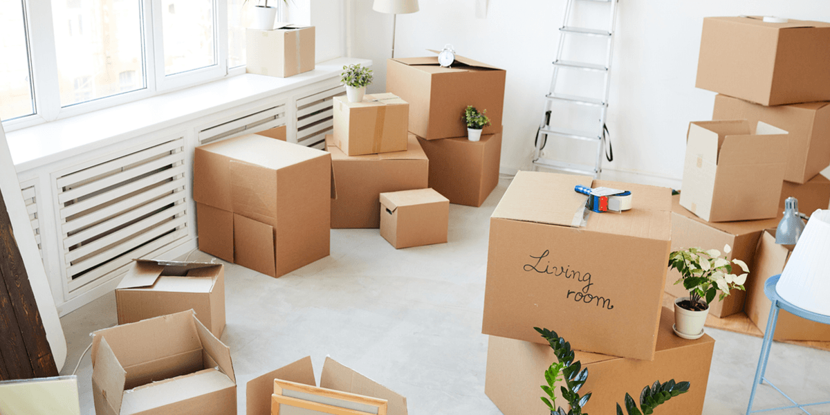Living room full of brown moving boxes of various sizes, a tall ladder, and a few potted plants by sunlit windows awaiting packing or moving.